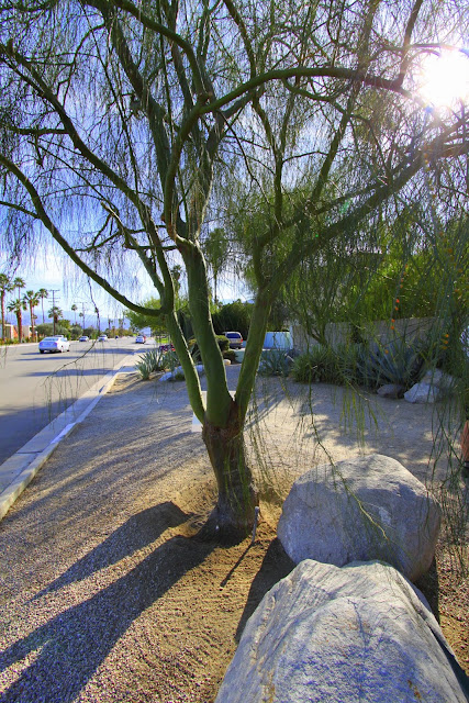 Palm Springs Modernism Week 2013 Garden Tour