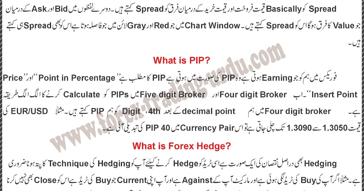 Forex urdu guide