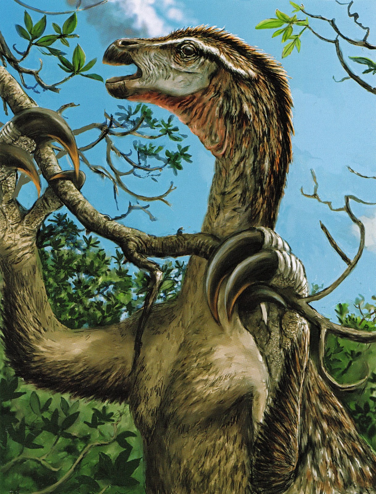 Written In Stone Seen Through My Lens September 2014