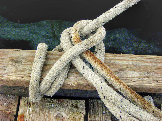 Knotted dockside details (2009-09-15)
