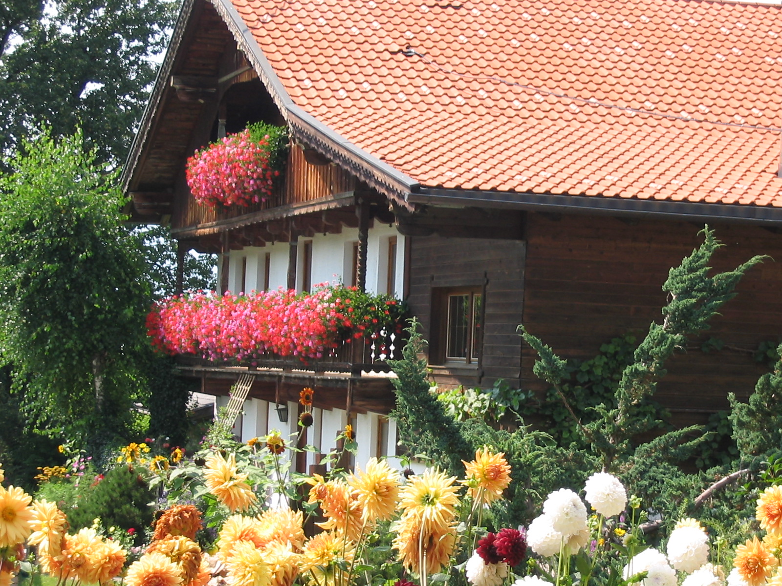 Tirol Ayurveda In Den Bergen Chamy Travels Reiseblog Aus
