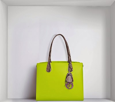 Dior Latest and Stylish Handbags 2014 for Women