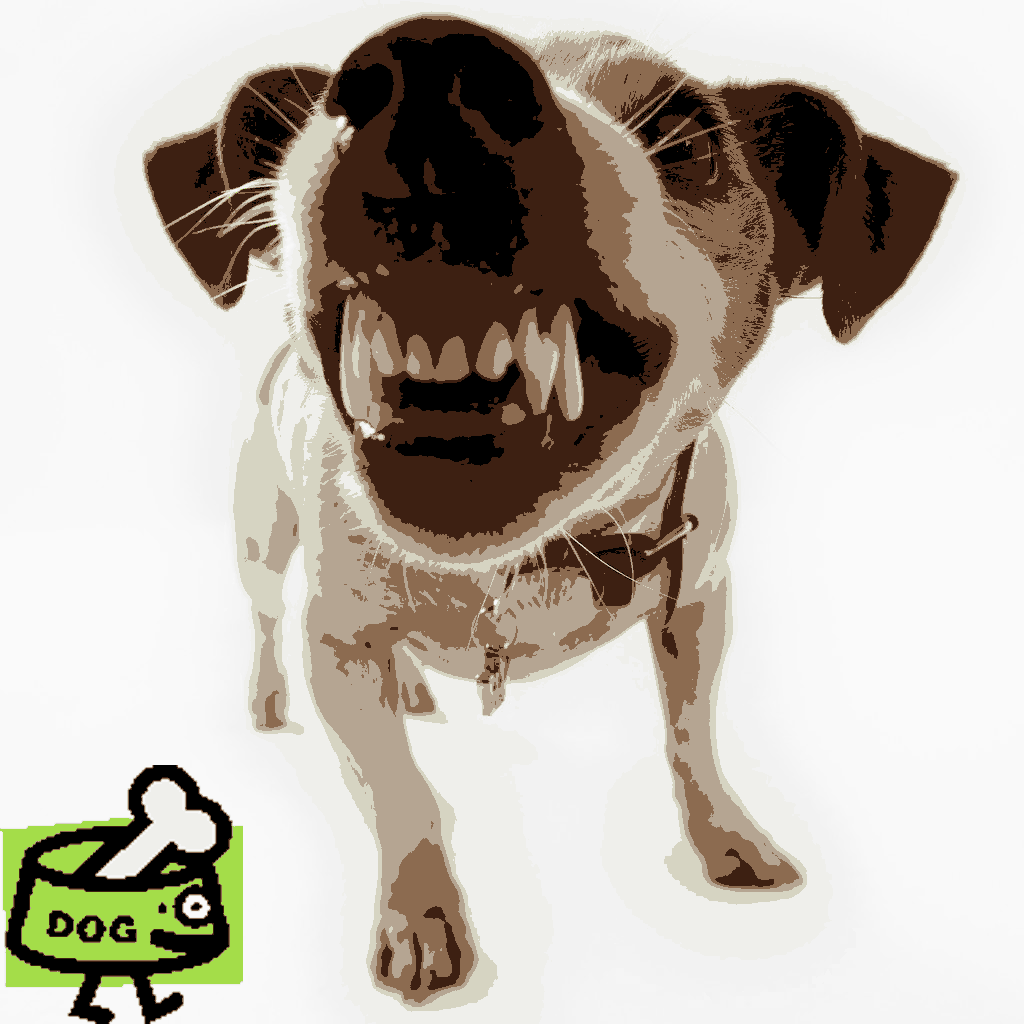What Give Dogs Really Bad Gas What Give Dogs Really Bad Gas