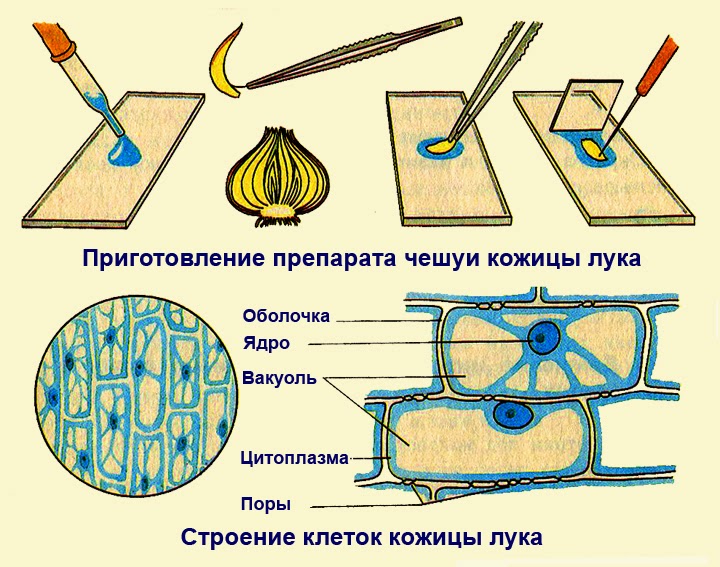 Как сделать чемодан под инструменты Как сделать чемодан под инструменты