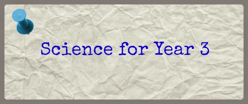 A science blog for Primary Year 3