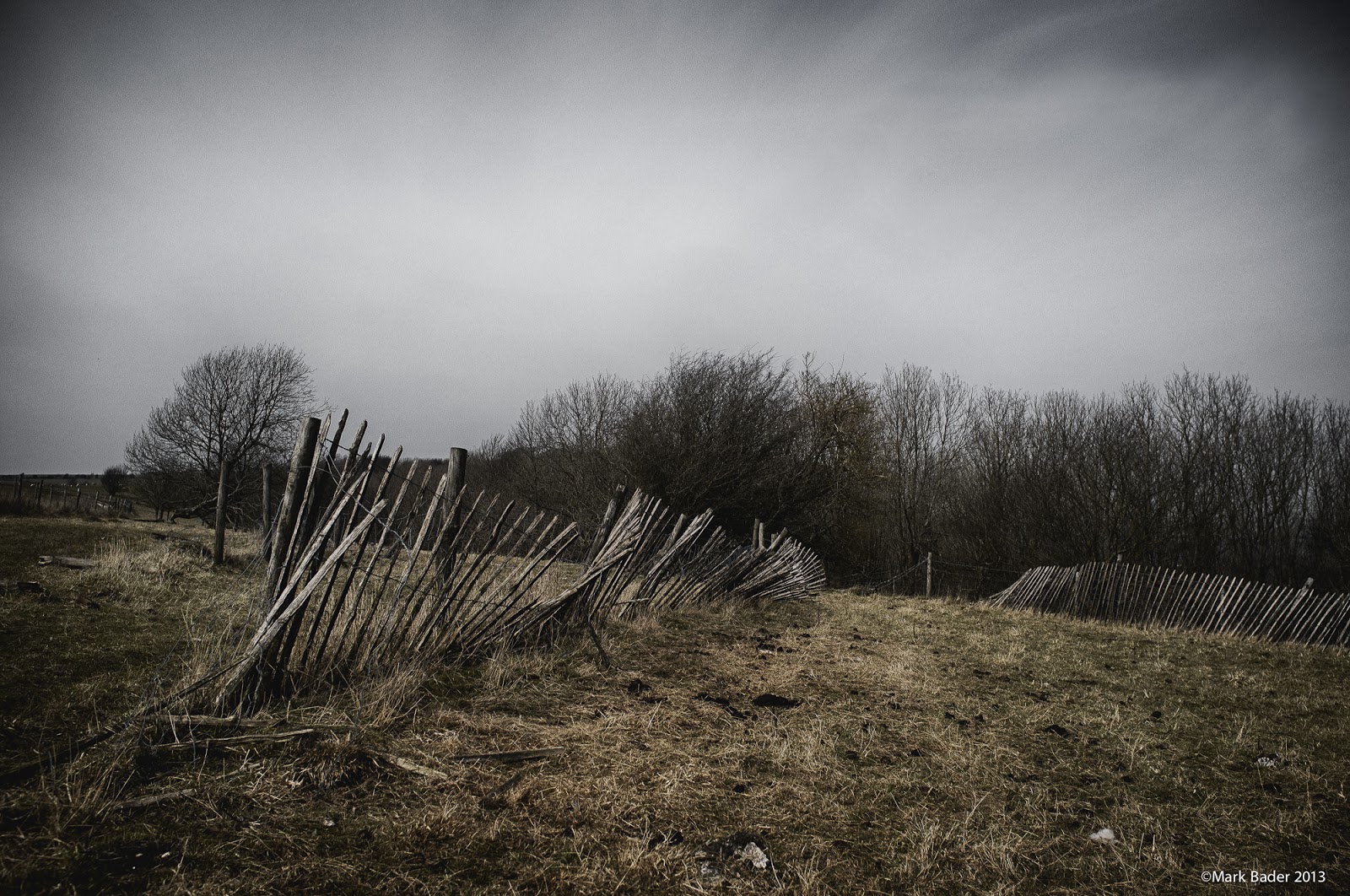 Jasmine Harris Component 1 AS Photography Definition Post Colour