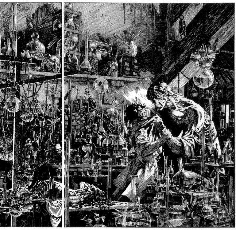 BernieWrightson_Frankenstein_p146-147_transparency_crop.jpg