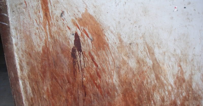 What Would You Do? : Spitsville