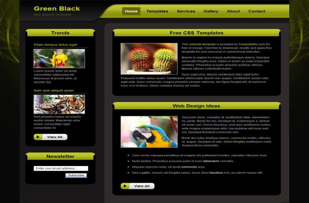 Free Dark Green Black CSS HTML Website Template