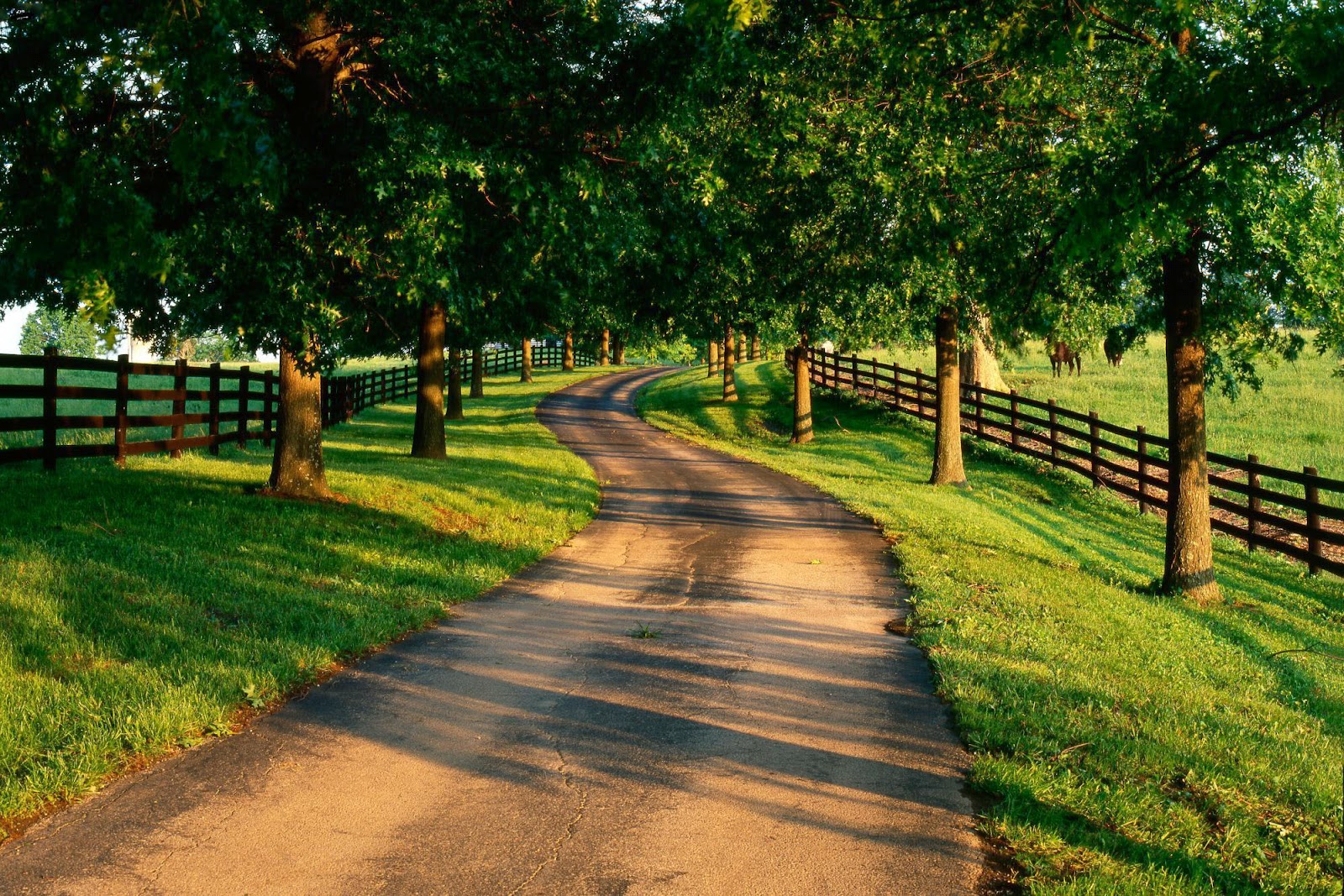 كتآب "من آبدآع آلخآلق" من تآليف يآكومآري سآمآ - للصور آلخلآبة- '$ Beautiful+nature3333+%288%29