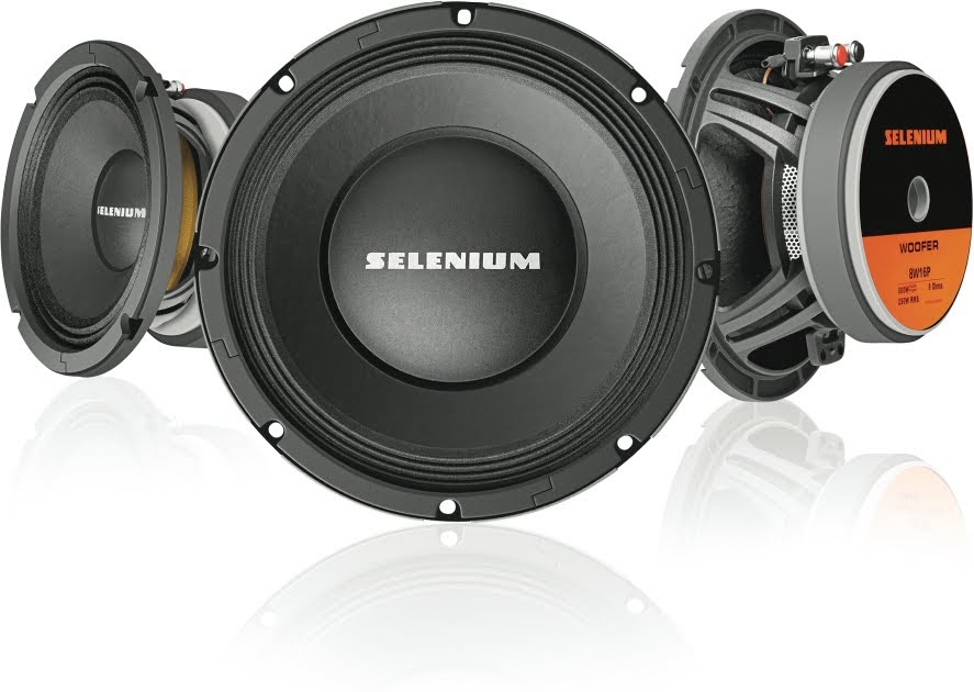 selenium 10 inch speaker