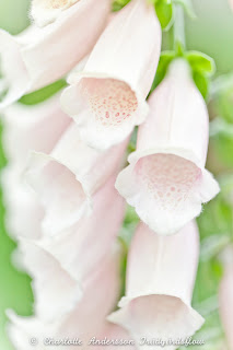 dejta 4 månader kryper