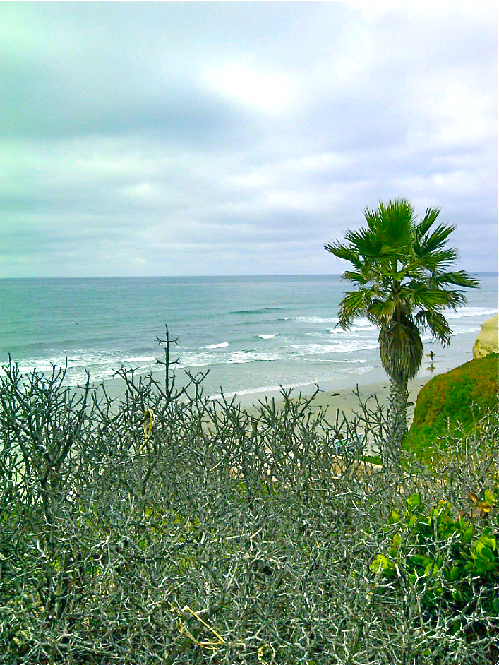 Solana Beach Cafe Zinc Solana Beach Cafe Zinc