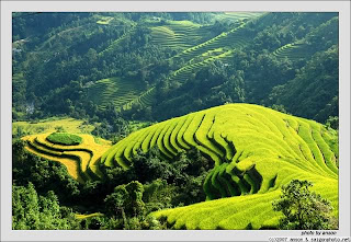 Dong Van plateau – Ha Giang - Vietnam