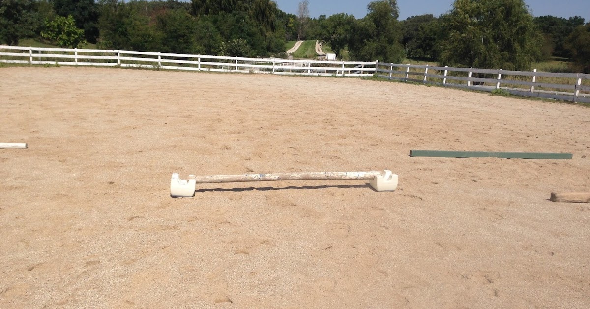 The Mane Point Stepping up with simple doityourself cavalettis