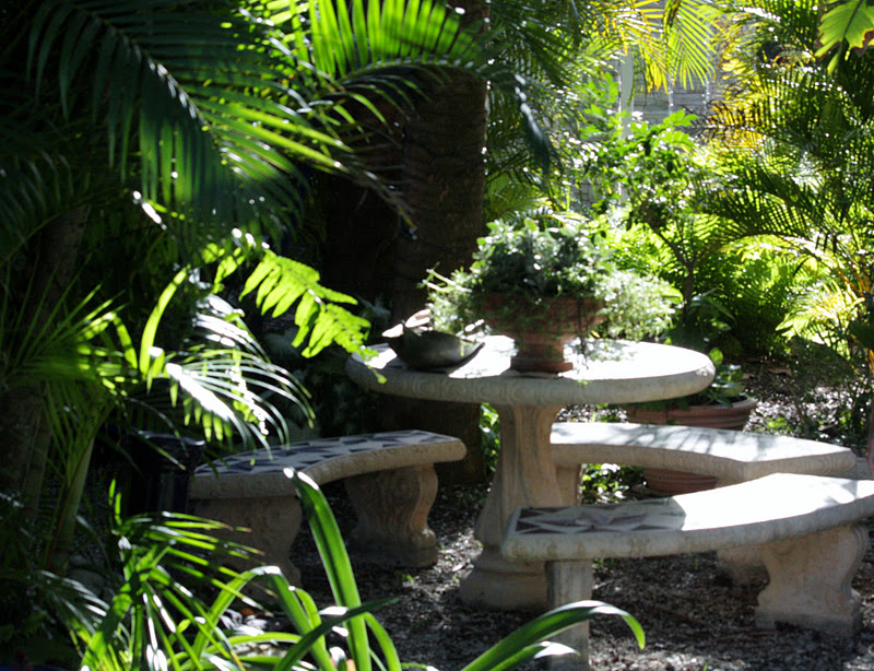 Punta Gorda Florida Daily Photo December 2011