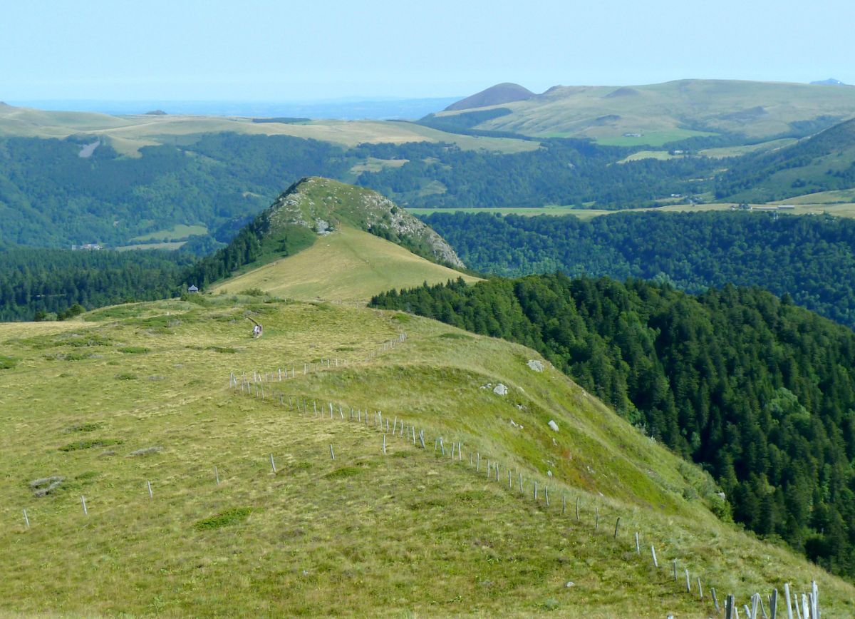 la fille aux baskets roses