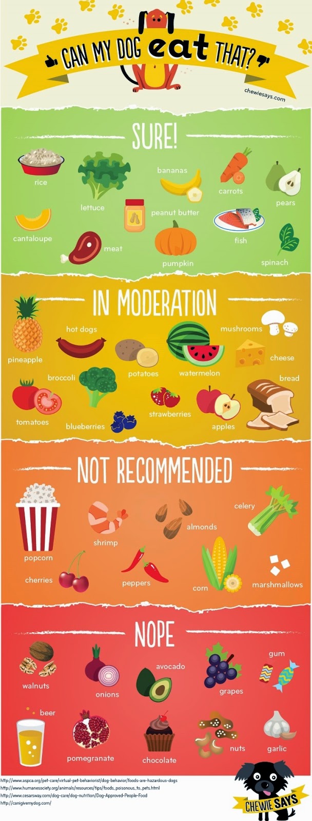 little holly s big world can my dog eat that this infographic