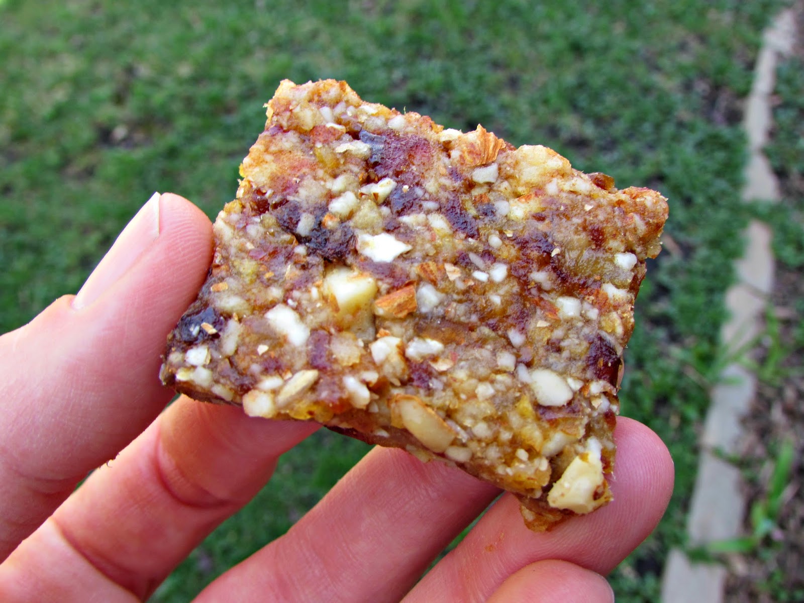 Chicago Jogger Meyer Lemon Snack Bars.