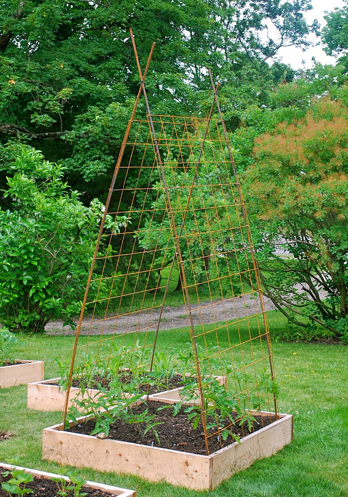 Seeding the Good Life Building Tomato Trellises From