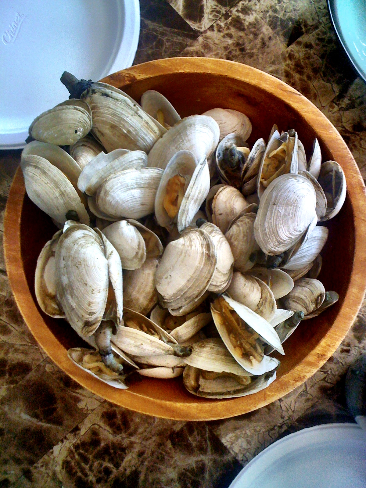 I Ate New York City Steamers