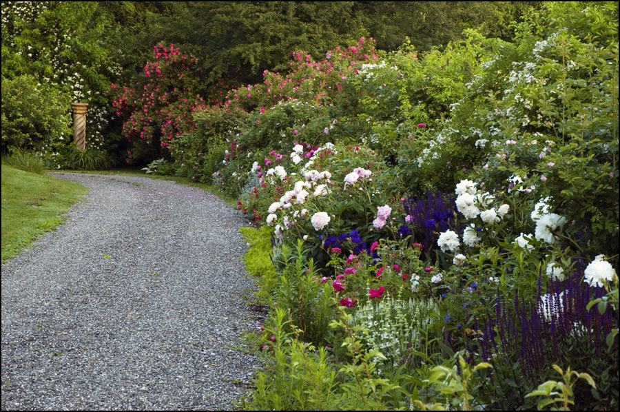 FLORAWERELD GREEN MAGAZINE Broccoli Hall Gardens
