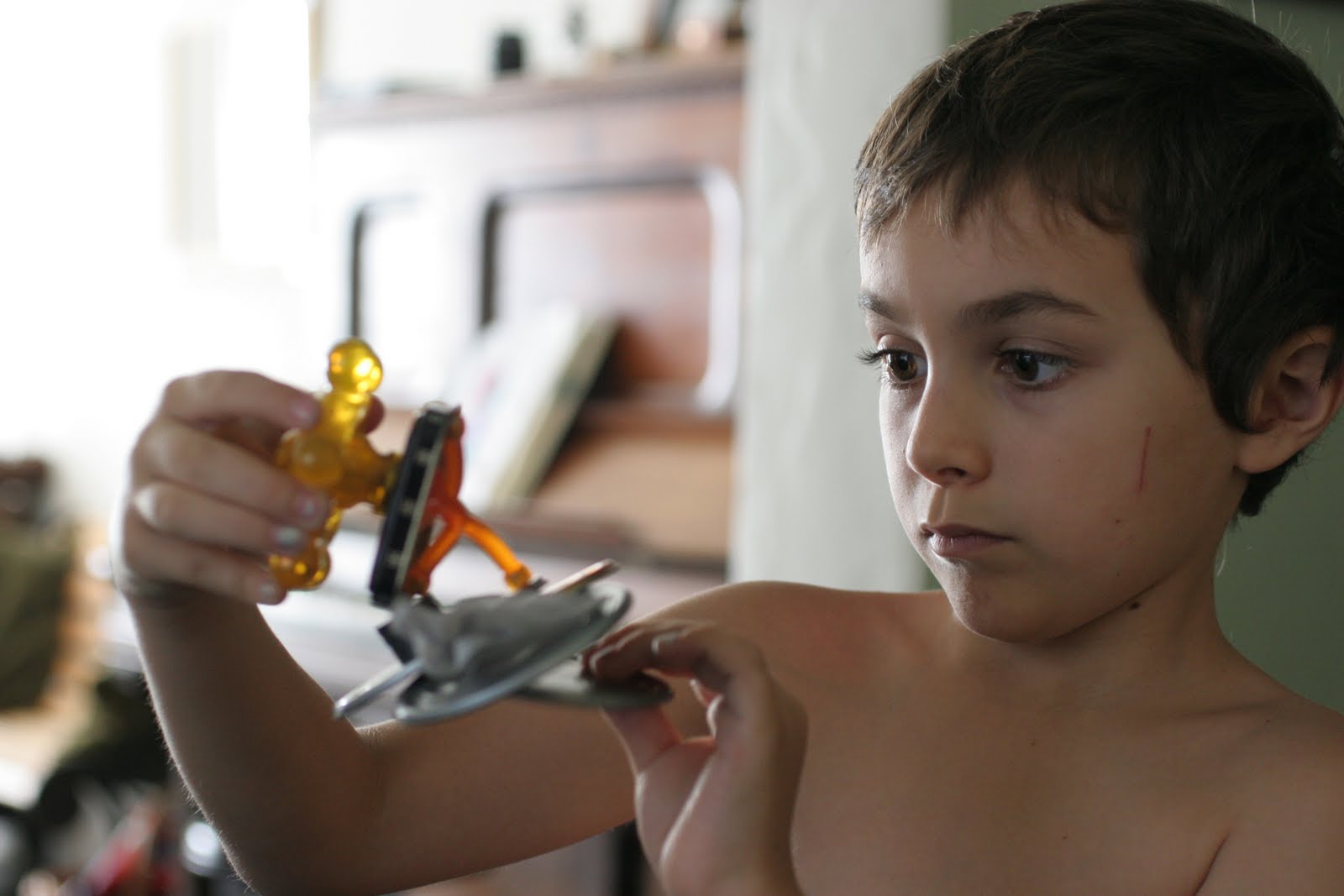 The Brooding Hen Playing with