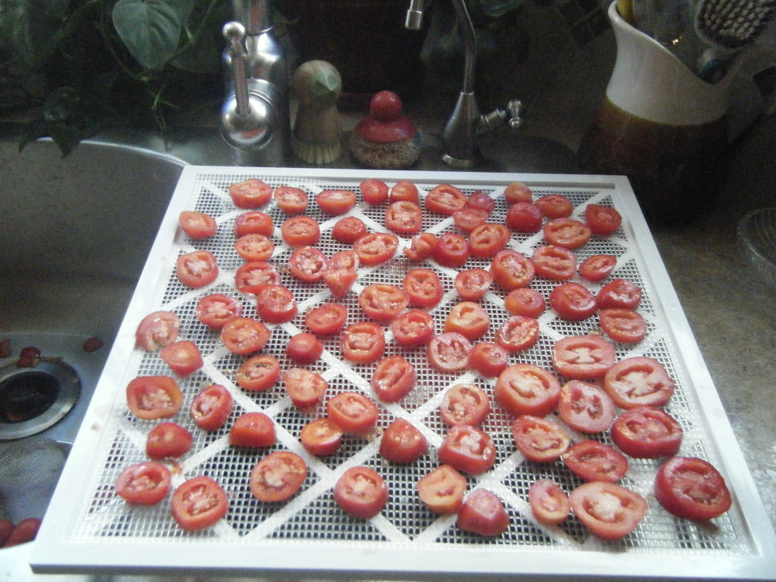 Windy Acres Diary Drying Tomatoes