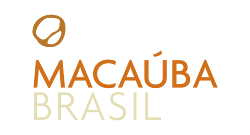 Macaúba Brasil