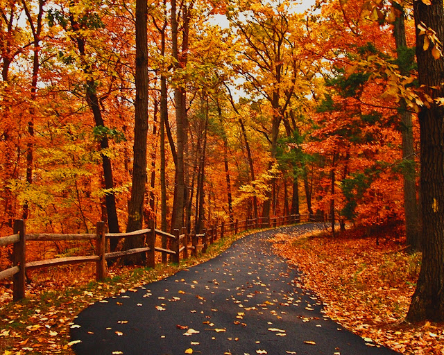 Autumn-pictures-+Wallpaper-Photos-gallery-2011-030