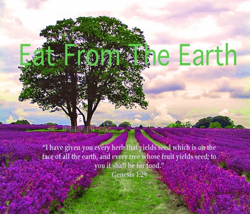 Eat From The Earth