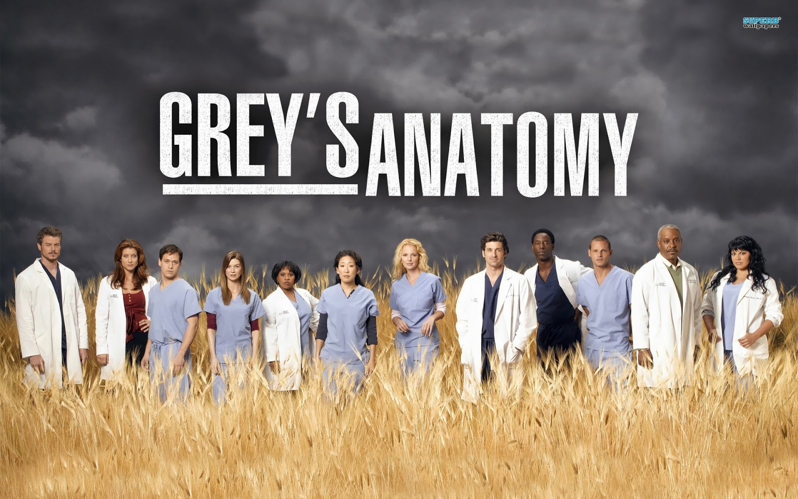 8. Grey's Anatomy 2005