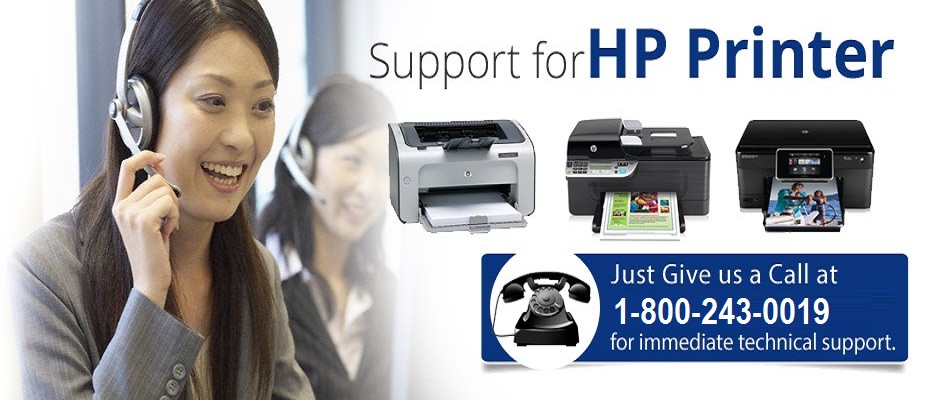 HP Printer Support Number