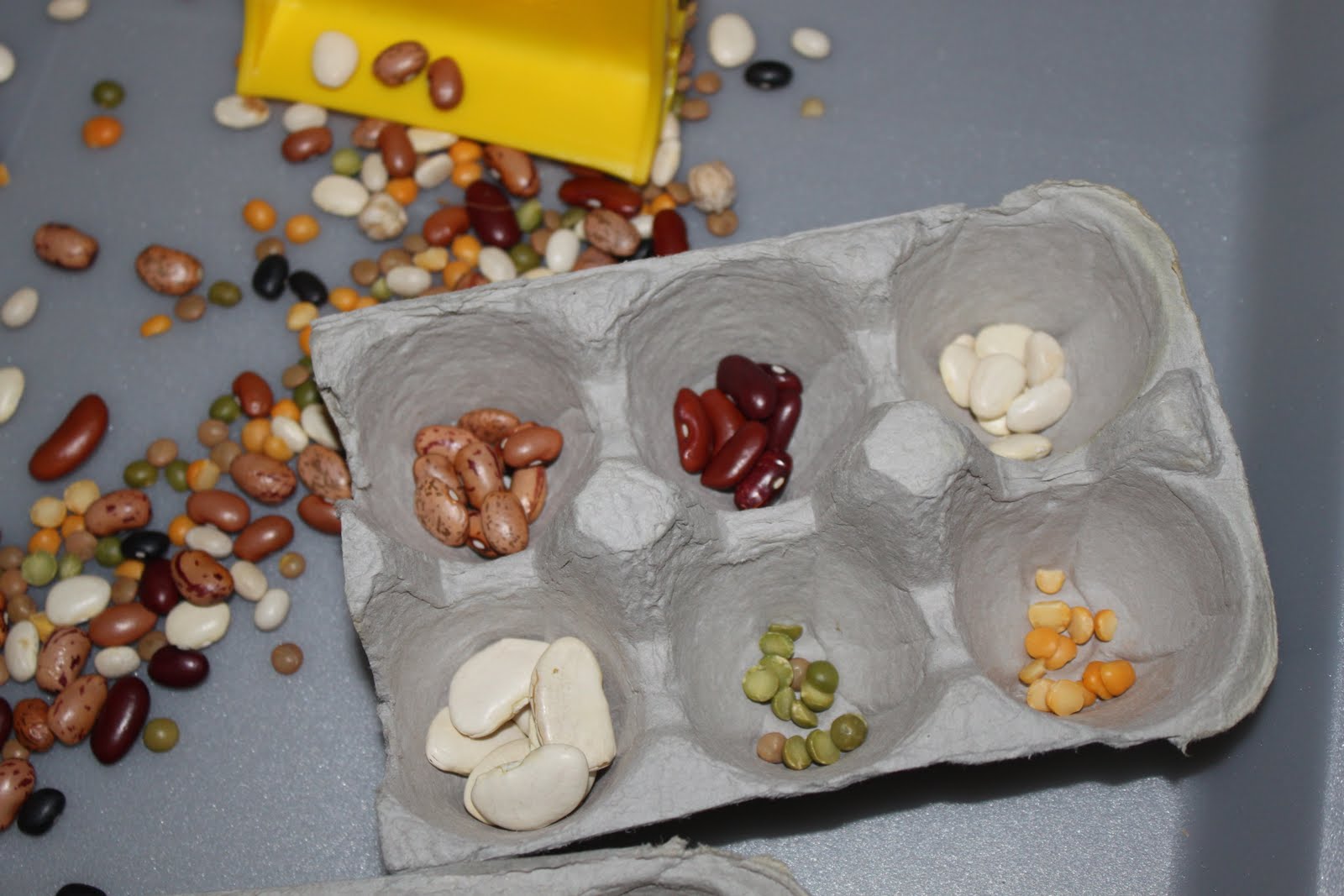 CREATE STUDIO Beans, Beans Good For Your Heart