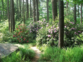 Juniper Hill: New Hampshire-Vermont Garden Conservancy Open Days 2012