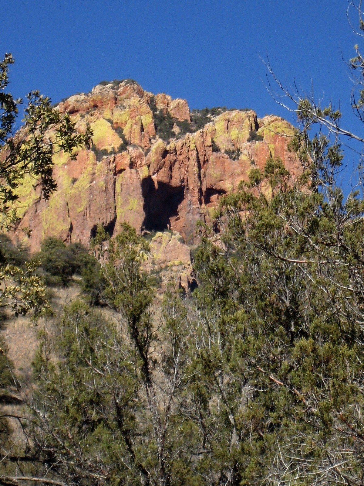 Living Rootless Cave Creek Canyon, Arizona Shining Colors