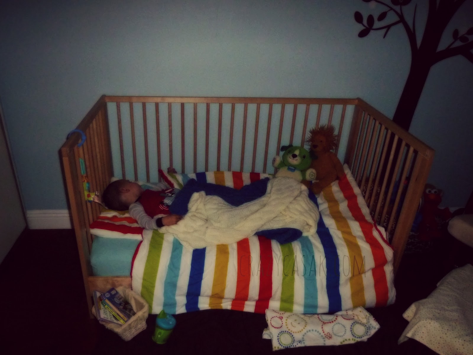 Imgsrc+Boy+Bed Bump Beds For Big Boy http://www.pic2fly.com/Bump+Beds+For+Big+Boy ...