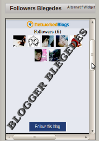 Alternatif Followers Widget