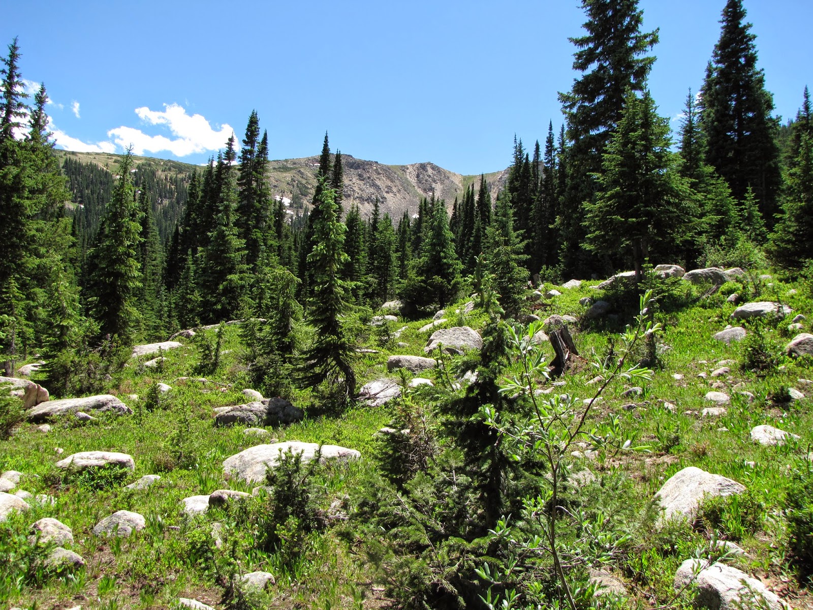 Go Hike Colorado Windsor Lake, Mount Massive Wilderness