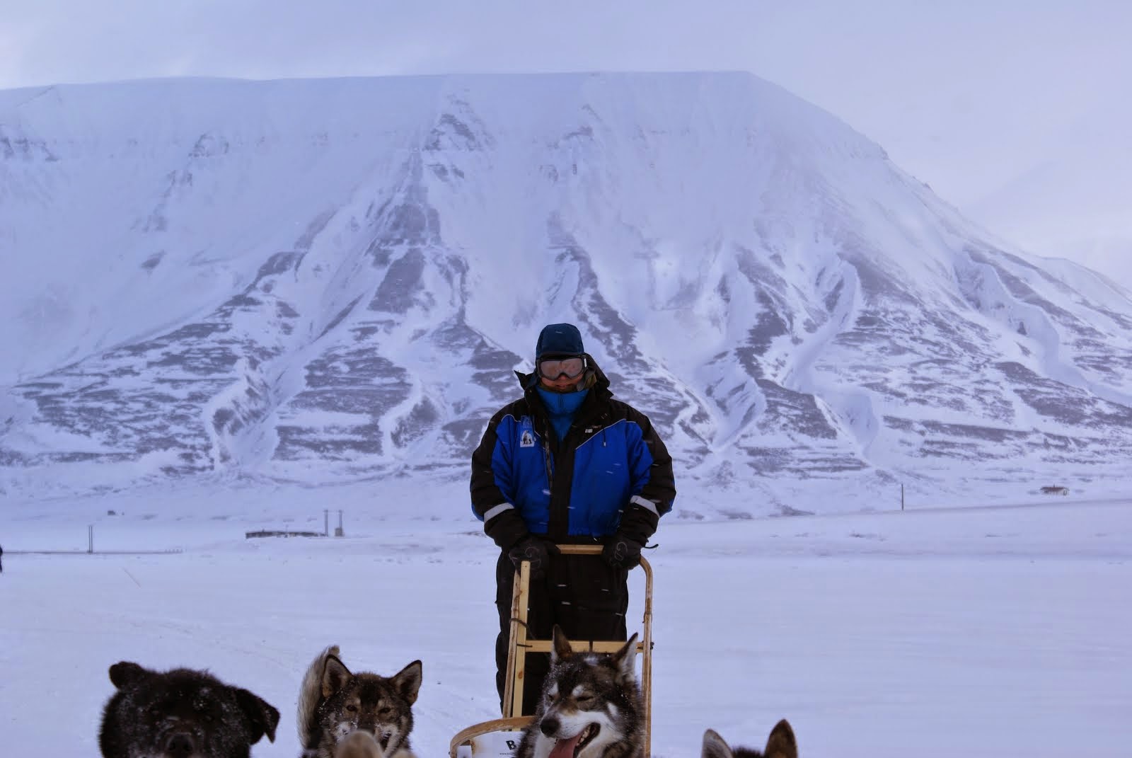 Dogsledding Spitsbergen