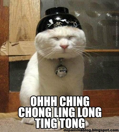 [Imagem: gato+chines.jpg]