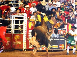 Calendário Rodeio 2010