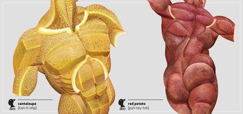 00-Dan-Cretu-Human-Anatomy-with-Food-Art-Sculptures-www-designstack-co