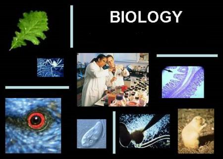 Biology