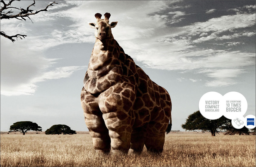 really funny pictures: Funny pictures of animals