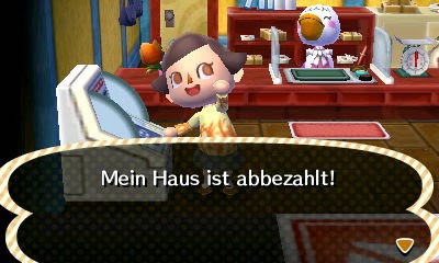 Animal Crossing New Leaf 06 19 13