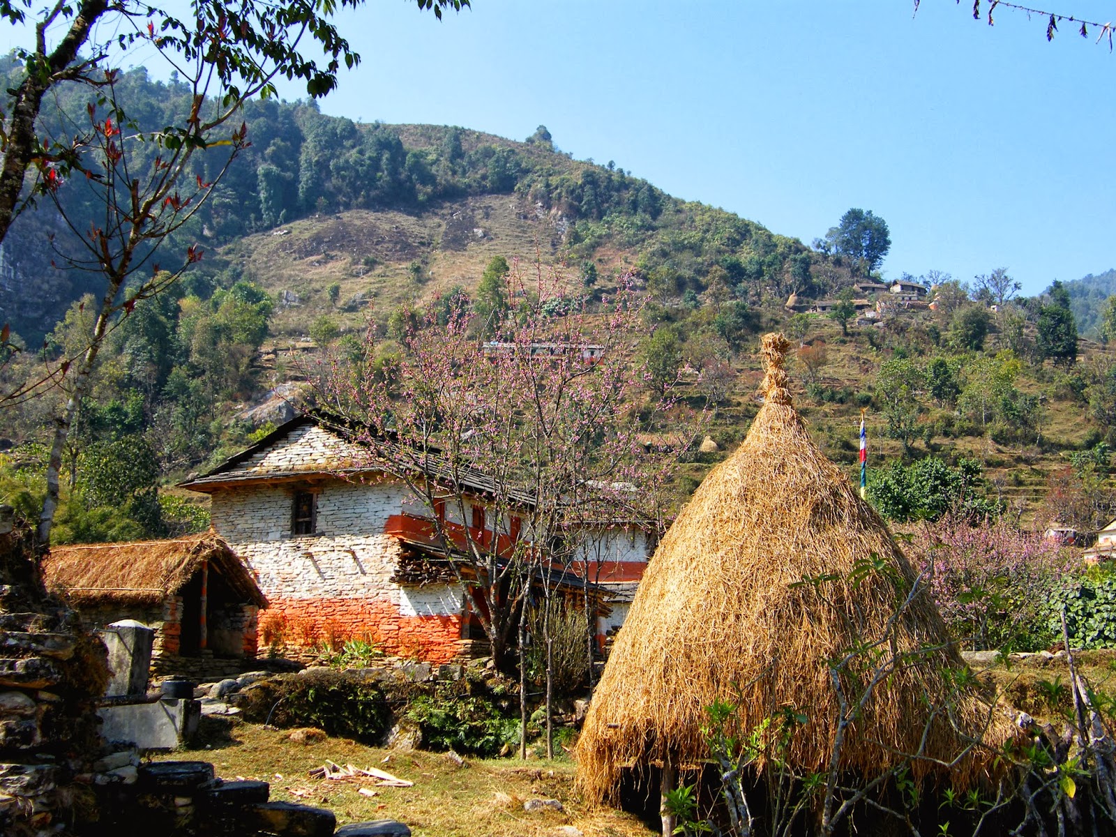 Nepali village