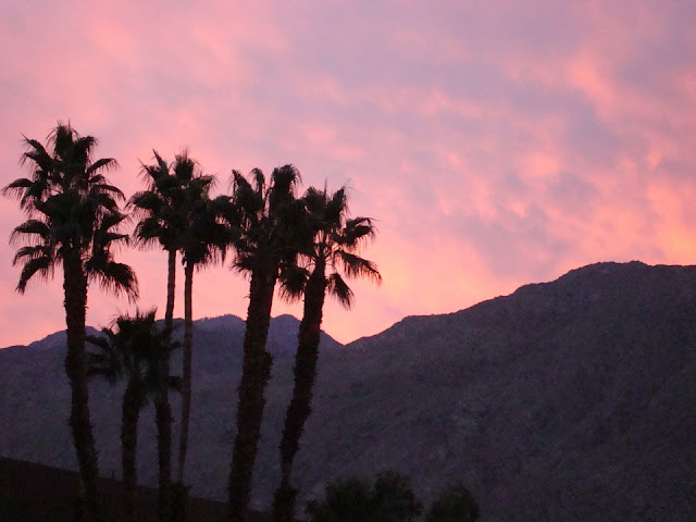 5 Reasons You Need to Visit Palm Springs This Fall/Winter 5 Reasons You Need to Visit Palm Springs This Fall/Winter
