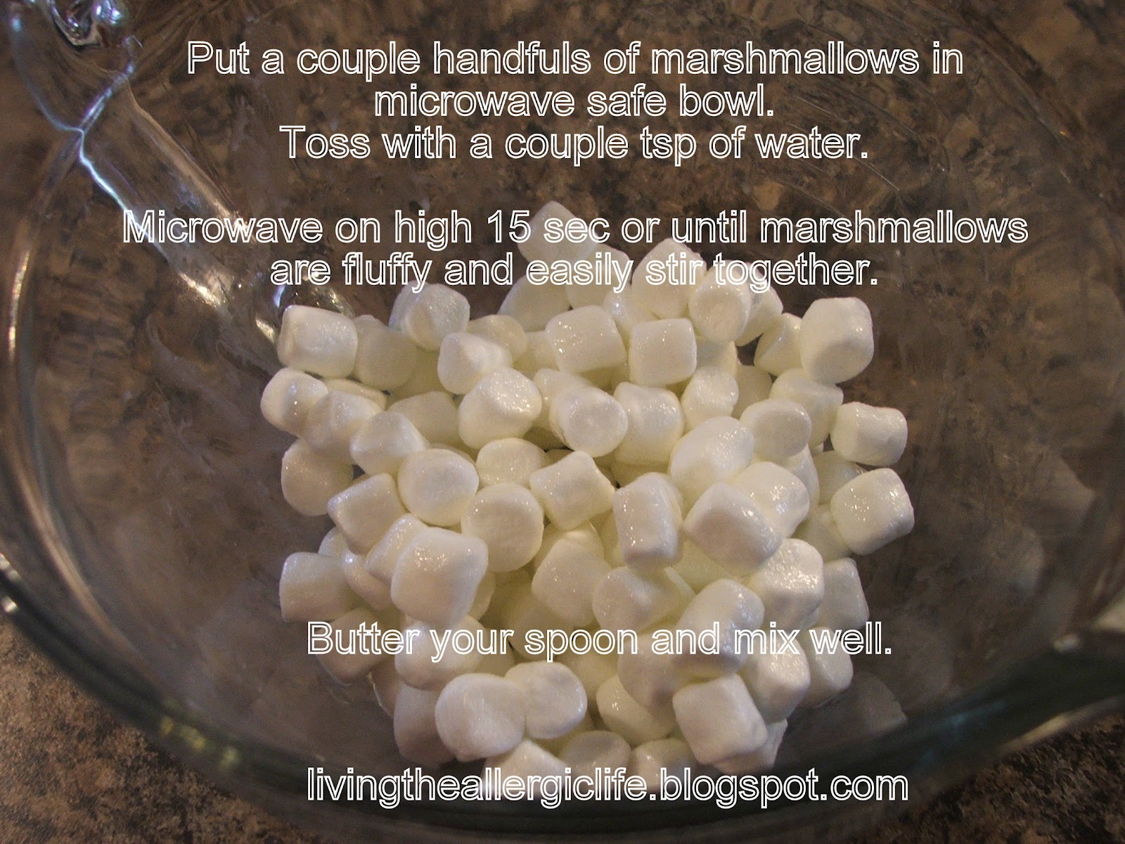 Living the Allergic Life Marshmallow Fondant {Dairyfree, Eggfree