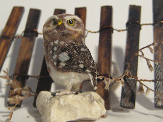 CDHM Gallery of Fanni Sándor of Paranyi Valosag Miniatures for all your 1:12 polymer clay birds